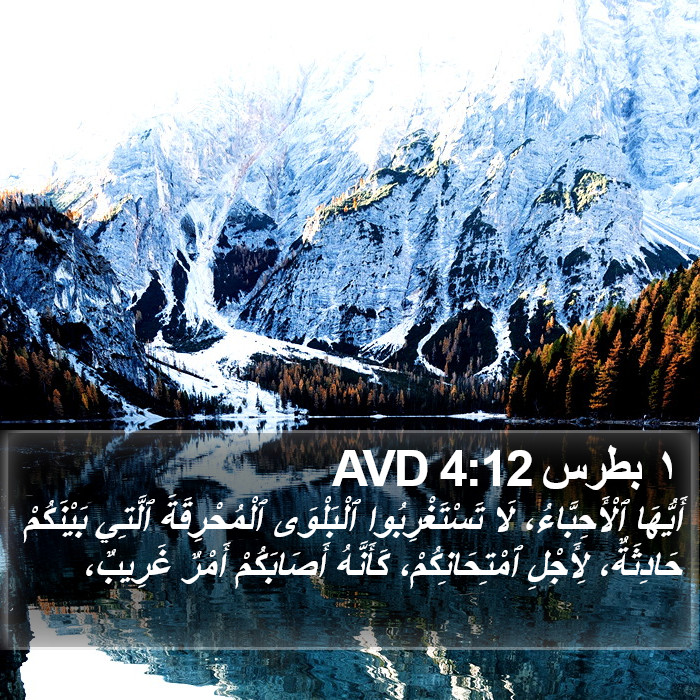 ١ بطرس 4:12 AVD Bible Study