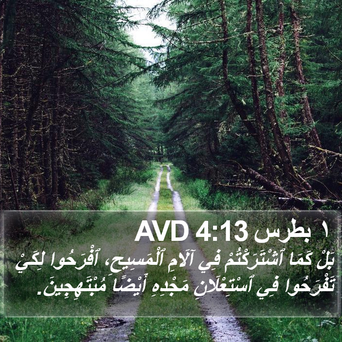١ بطرس 4:13 AVD Bible Study