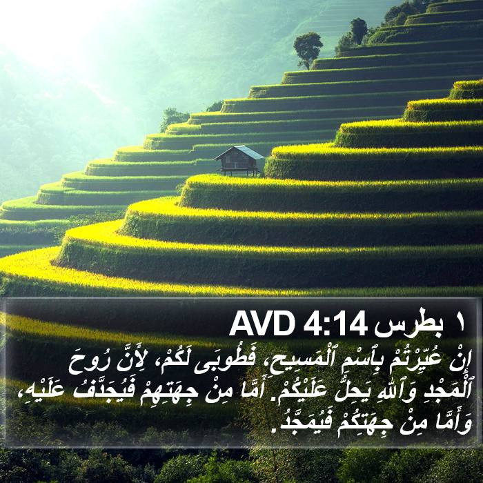 ١ بطرس 4:14 AVD Bible Study