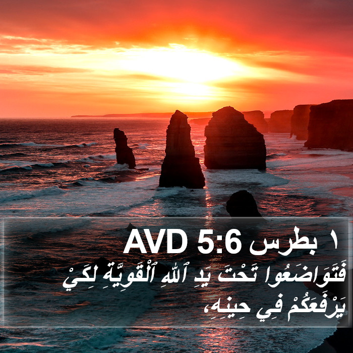 ١ بطرس 5:6 AVD Bible Study