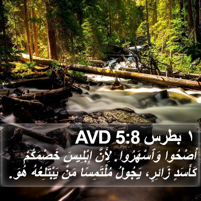 ١ بطرس 5:8 AVD Bible Study