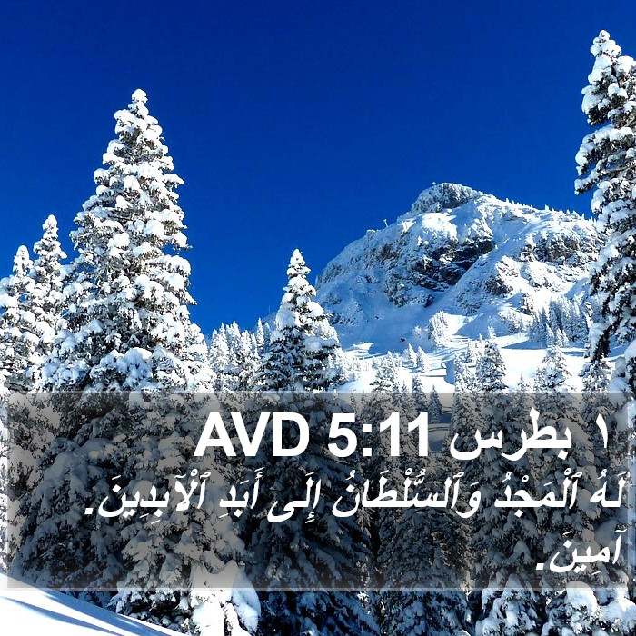 ١ بطرس 5:11 AVD Bible Study