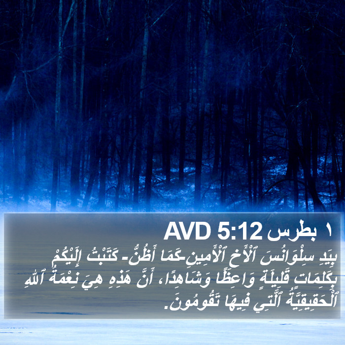 ١ بطرس 5:12 AVD Bible Study