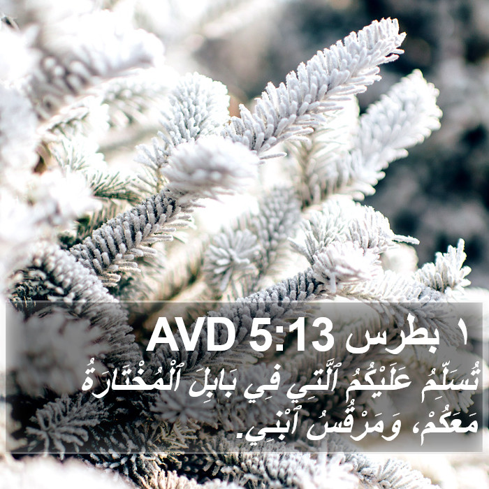 ١ بطرس 5:13 AVD Bible Study