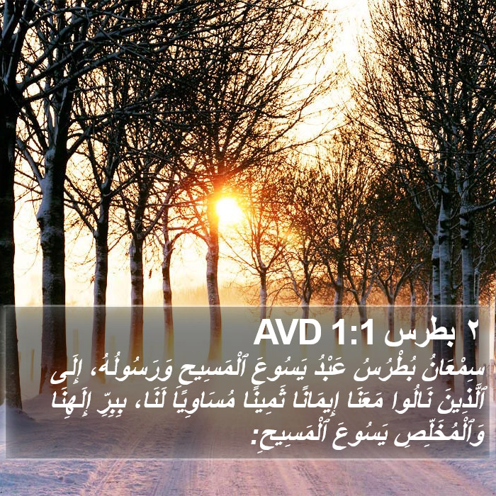 ٢ بطرس 1:1 AVD Bible Study