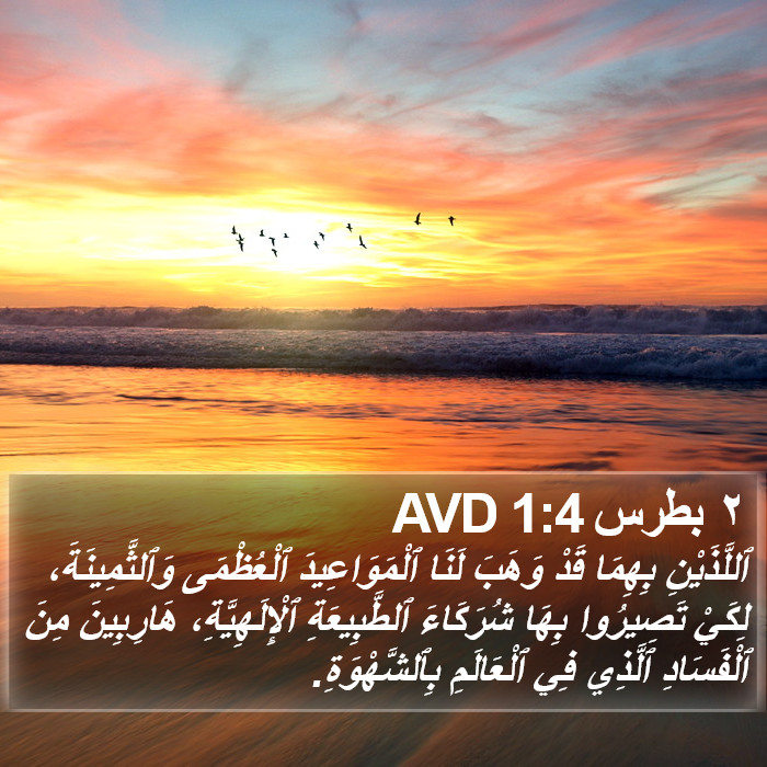 ٢ بطرس 1:4 AVD Bible Study