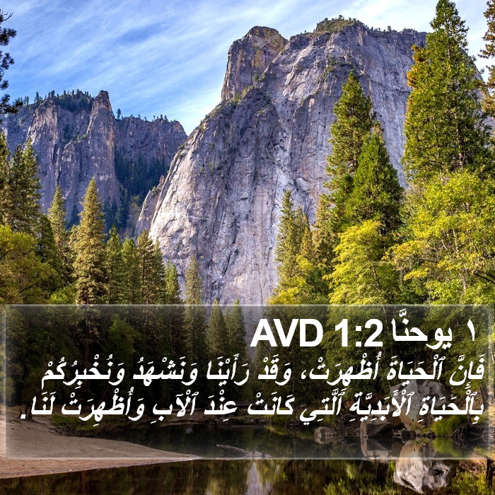 ١ يوحنَّا 1:2 AVD Bible Study