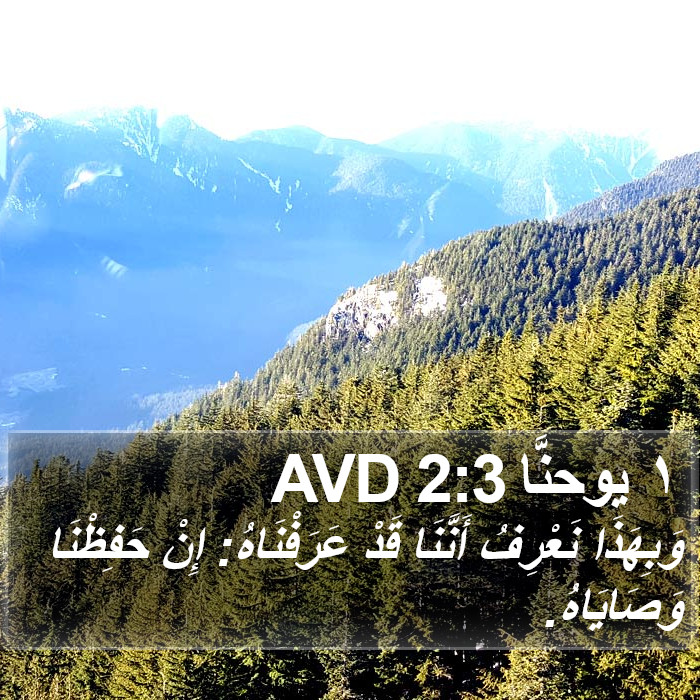 ١ يوحنَّا 2:3 AVD Bible Study