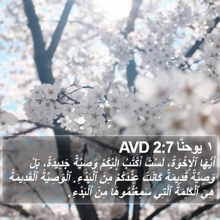 ١ يوحنَّا 2:7 AVD Bible Study