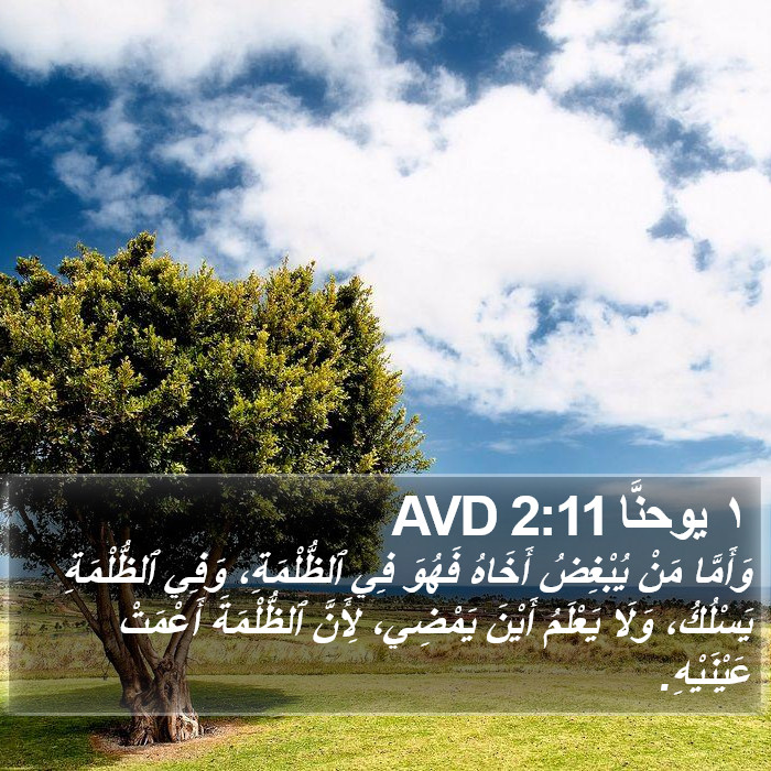 ١ يوحنَّا 2:11 AVD Bible Study
