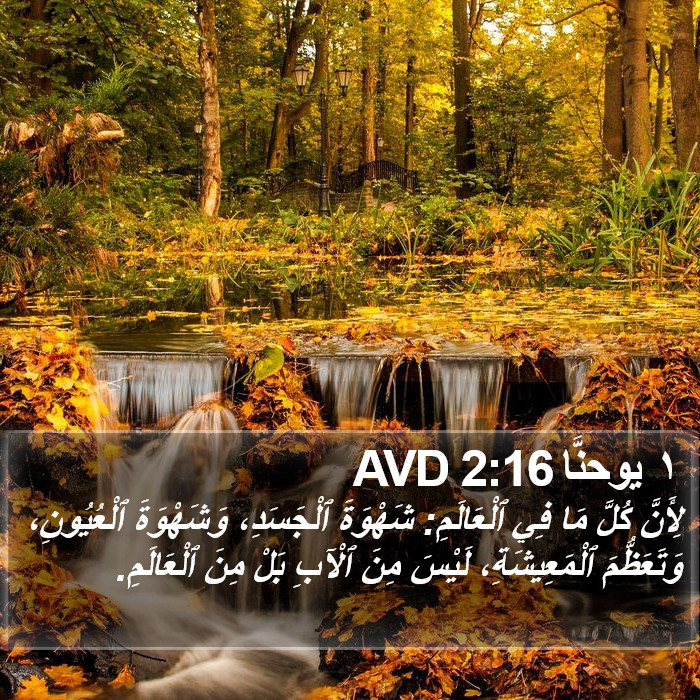 ١ يوحنَّا 2:16 AVD Bible Study