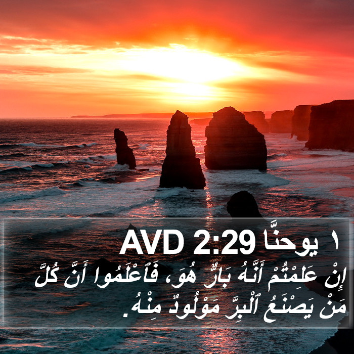 ١ يوحنَّا 2:29 AVD Bible Study