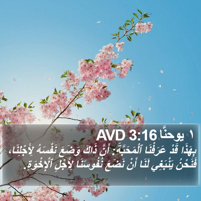 ١ يوحنَّا 3:16 AVD Bible Study