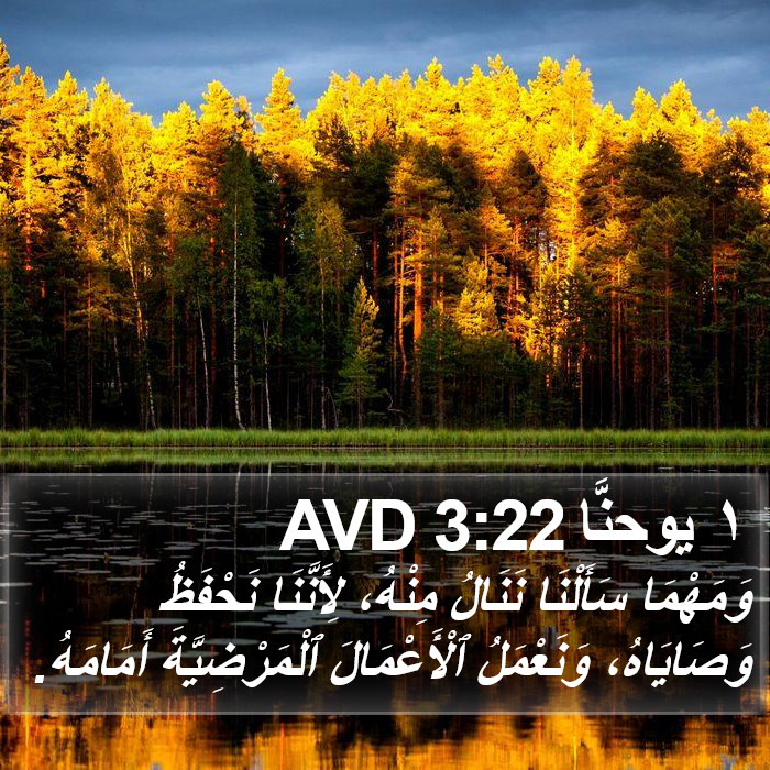 ١ يوحنَّا 3:22 AVD Bible Study