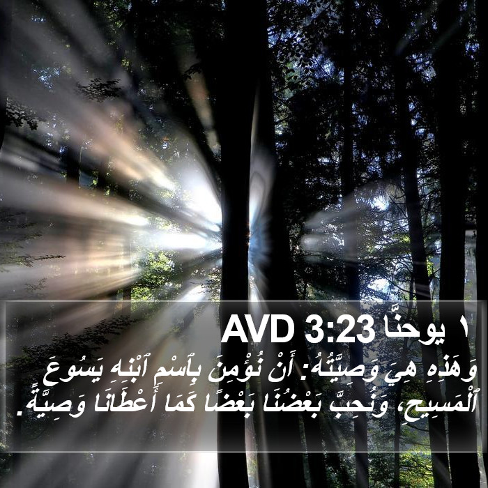 ١ يوحنَّا 3:23 AVD Bible Study