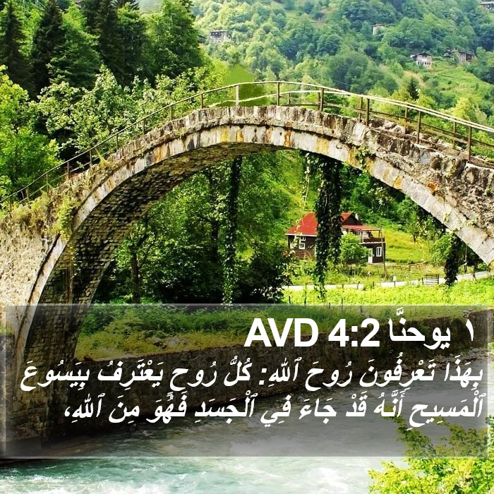 ١ يوحنَّا 4:2 AVD Bible Study