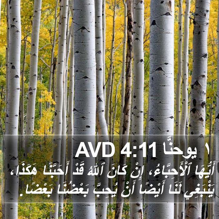 ١ يوحنَّا 4:11 AVD Bible Study