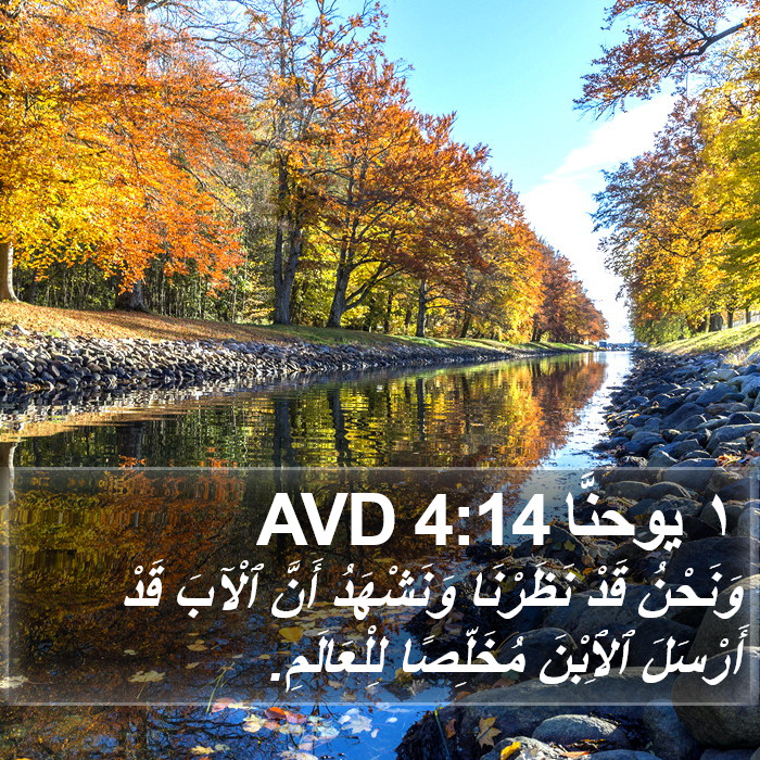 ١ يوحنَّا 4:14 AVD Bible Study