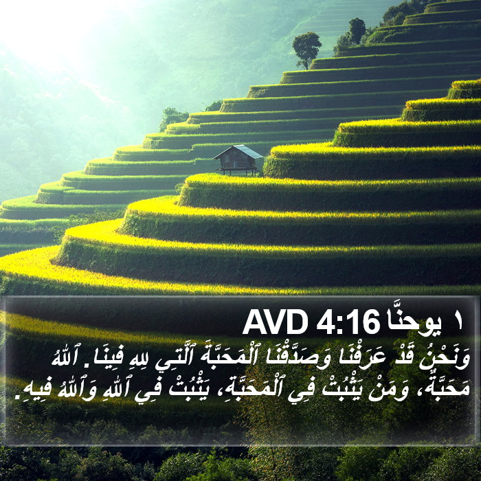١ يوحنَّا 4:16 AVD Bible Study