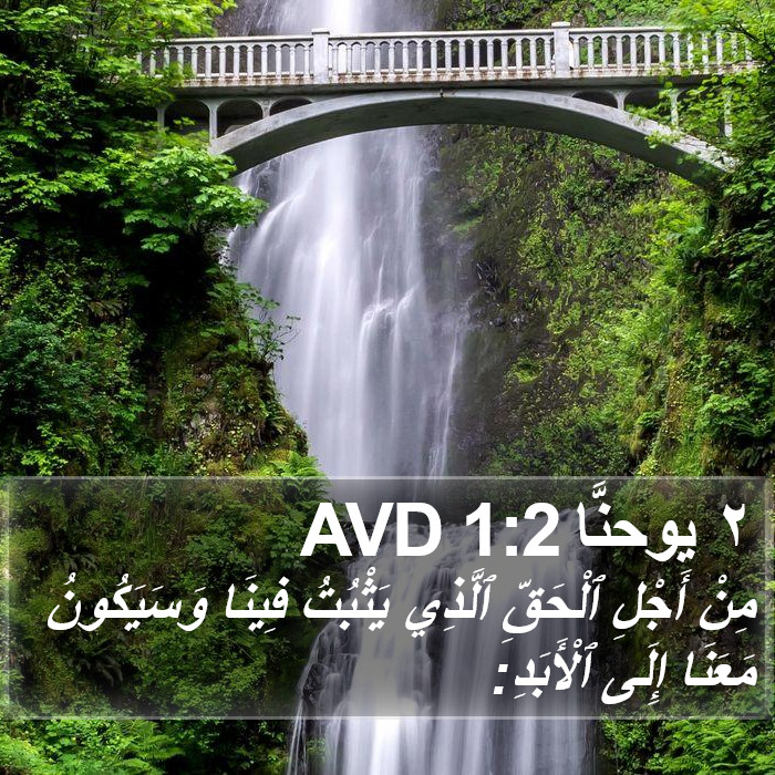 ٢ يوحنَّا 1:2 AVD Bible Study