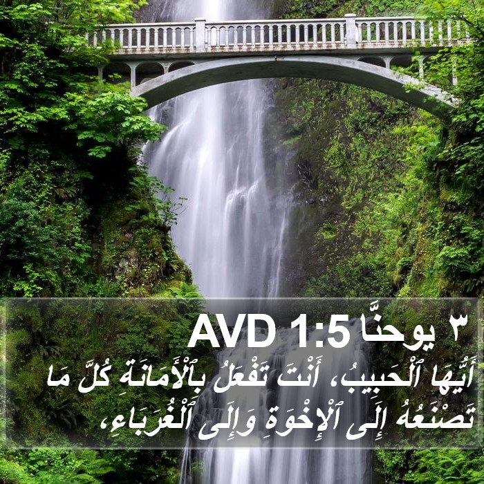 ٣ يوحنَّا 1:5 AVD Bible Study