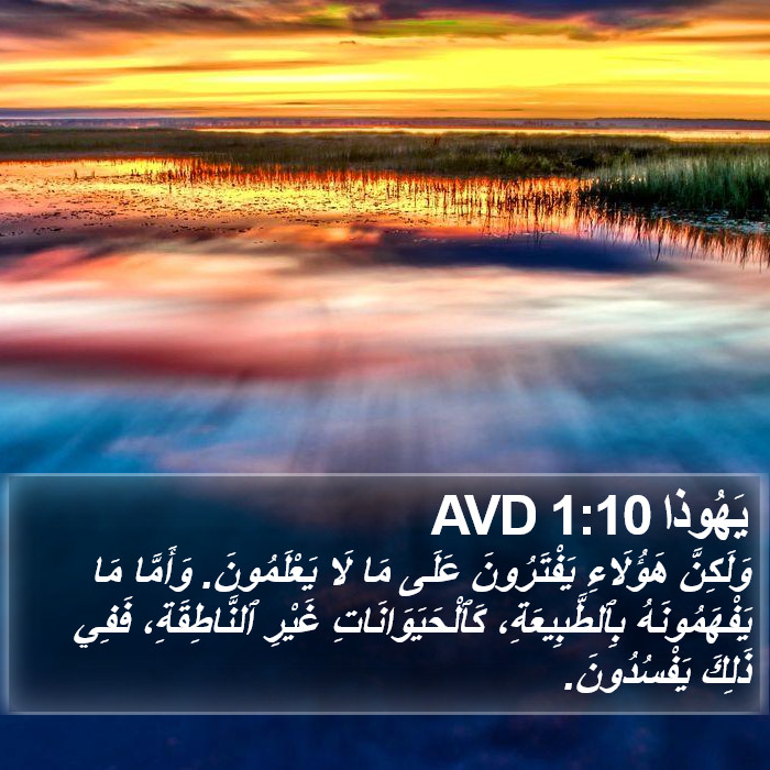 يَهُوذا 1:10 AVD Bible Study