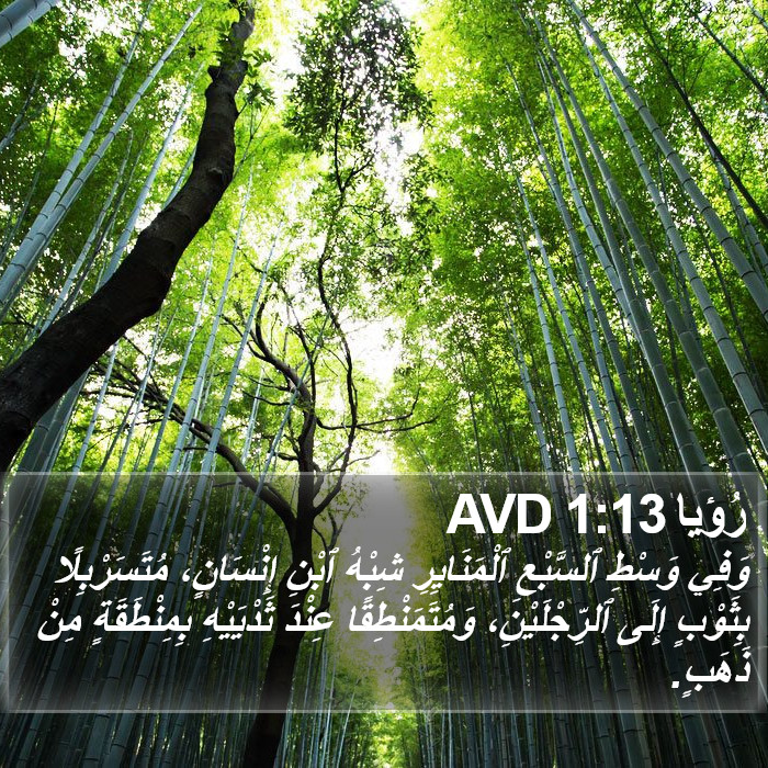 رُؤيا 1:13 AVD Bible Study