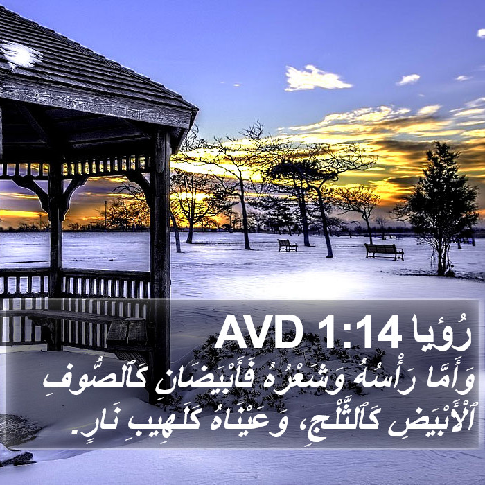 رُؤيا 1:14 AVD Bible Study