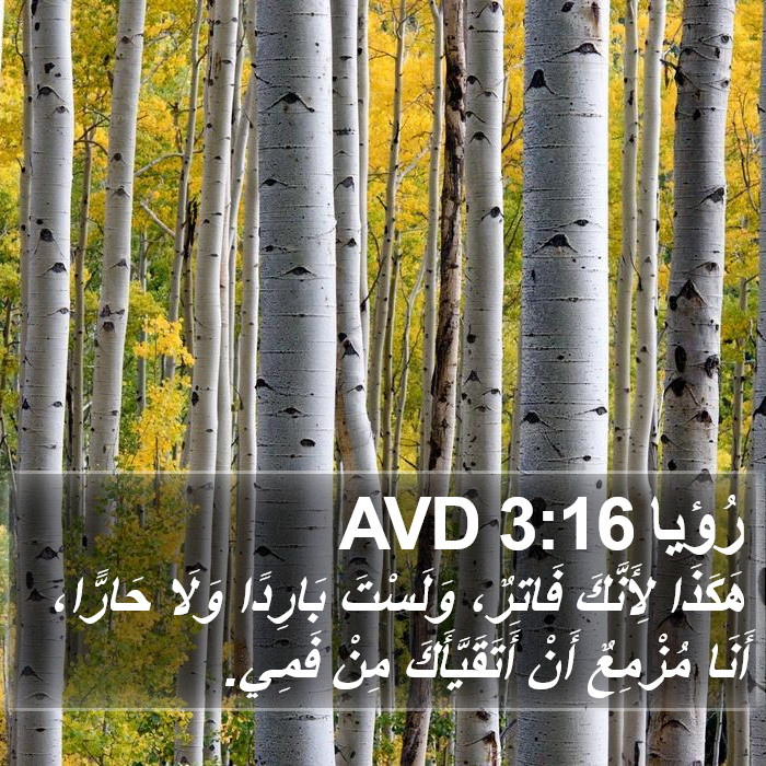 رُؤيا 3:16 AVD Bible Study