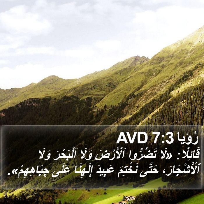 رُؤيا 7:3 AVD Bible Study