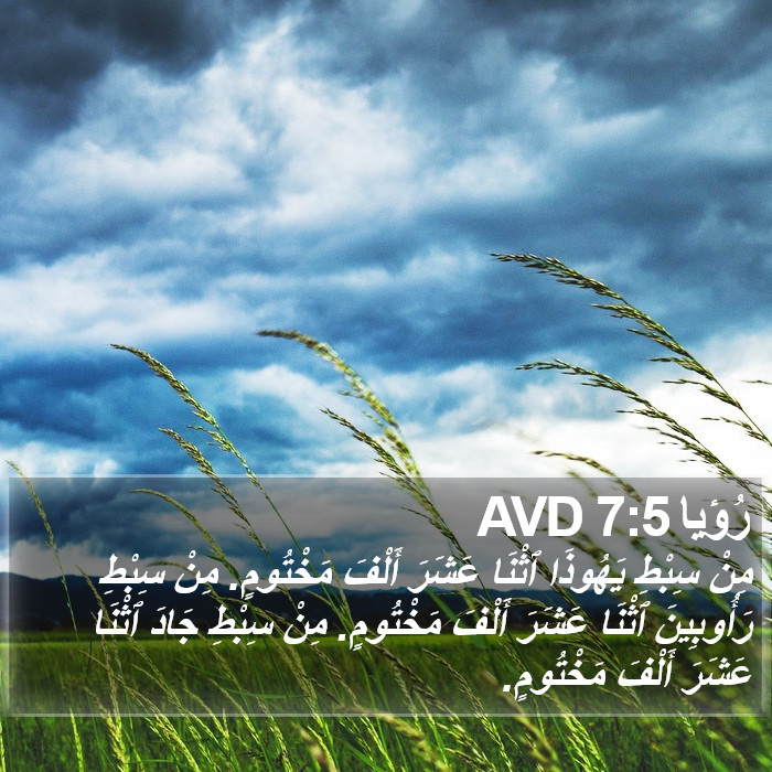 رُؤيا 7:5 AVD Bible Study