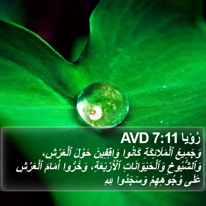 رُؤيا 7:11 AVD Bible Study