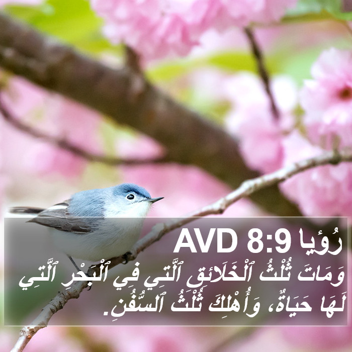 رُؤيا 8:9 AVD Bible Study