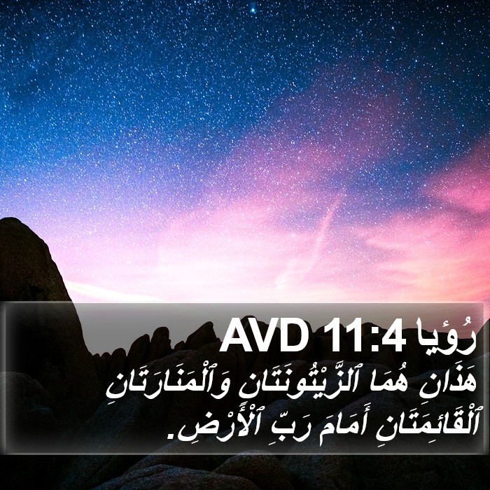 رُؤيا 11:4 AVD Bible Study