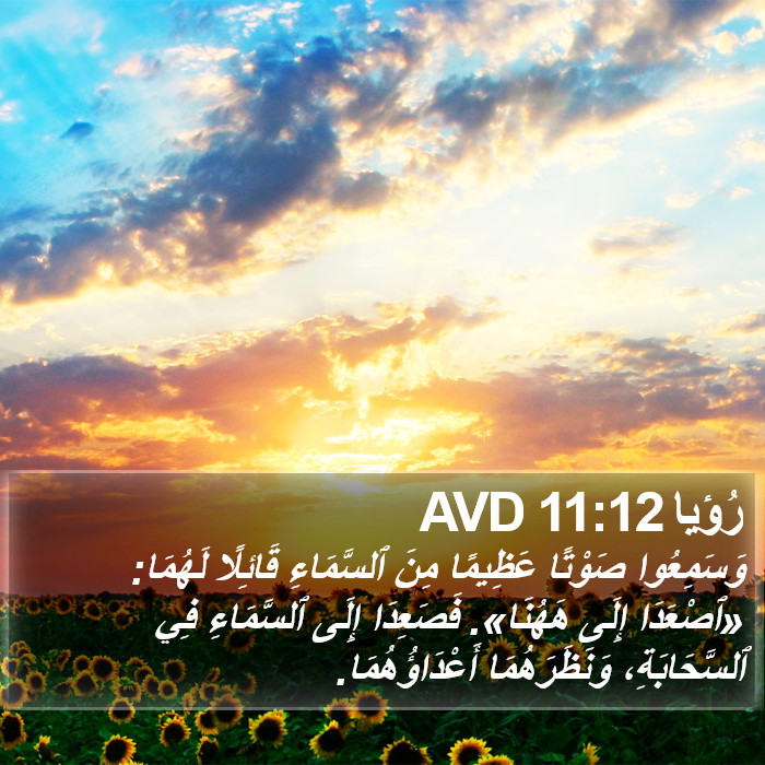 رُؤيا 11:12 AVD Bible Study