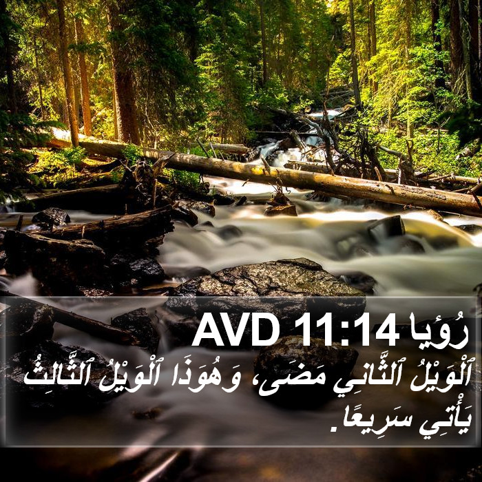رُؤيا 11:14 AVD Bible Study