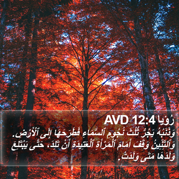 رُؤيا 12:4 AVD Bible Study