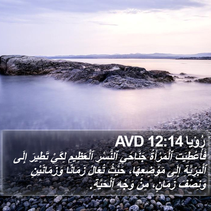 رُؤيا 12:14 AVD Bible Study