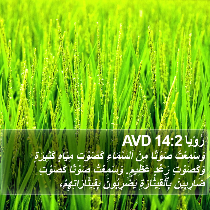 رُؤيا 14:2 AVD Bible Study
