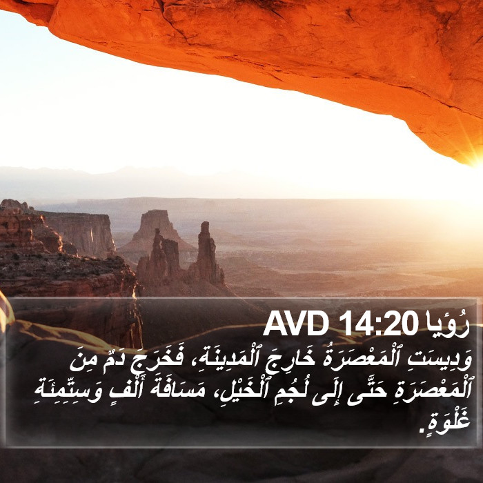 رُؤيا 14:20 AVD Bible Study