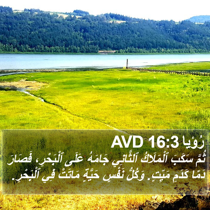 رُؤيا 16:3 AVD Bible Study