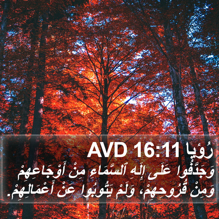 رُؤيا 16:11 AVD Bible Study