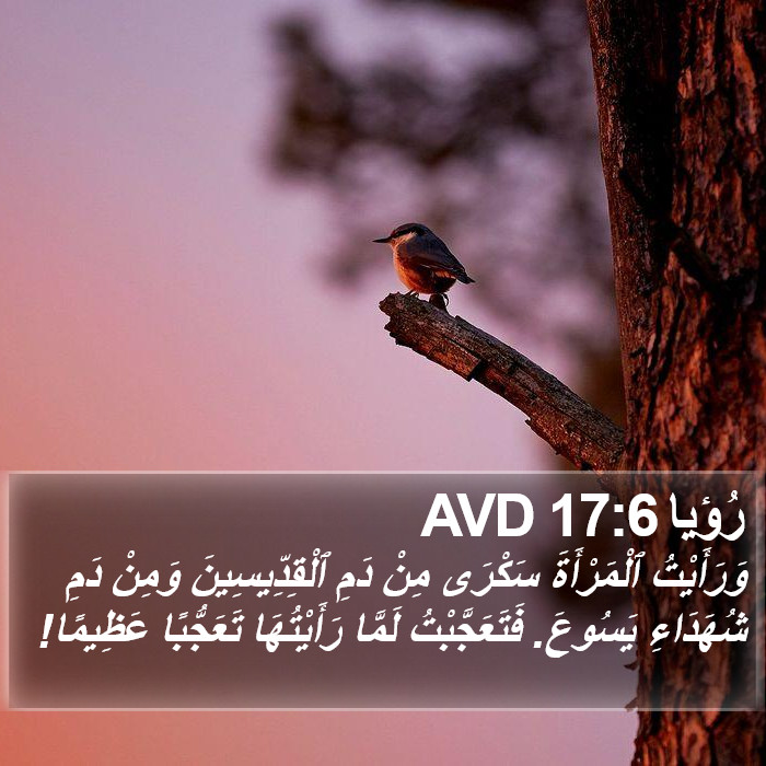 رُؤيا 17:6 AVD Bible Study