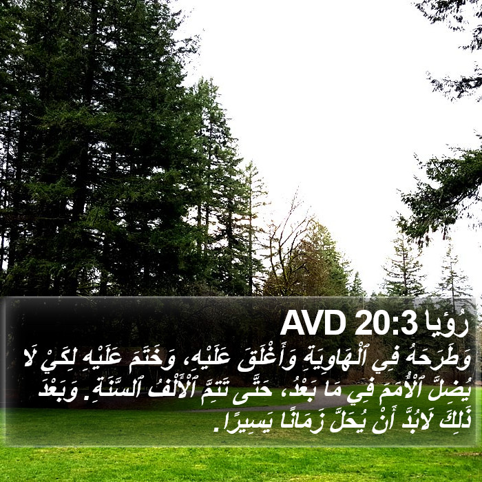 رُؤيا 20:3 AVD Bible Study
