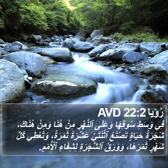 رُؤيا 22:2 AVD Bible Study