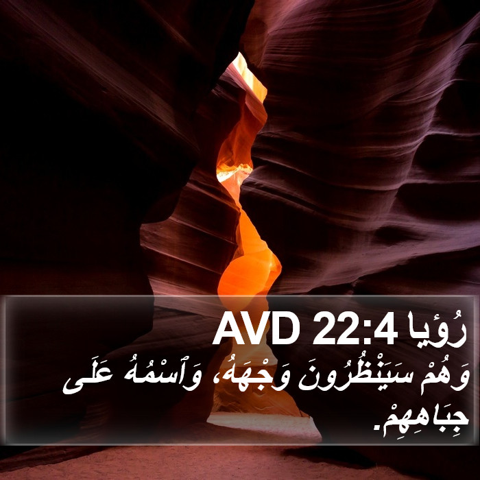 رُؤيا 22:4 AVD Bible Study
